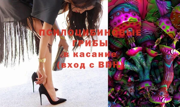 прущая мука Абаза