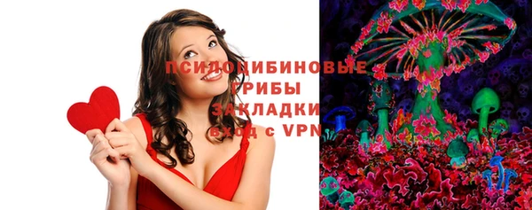 таблы Пересвет
