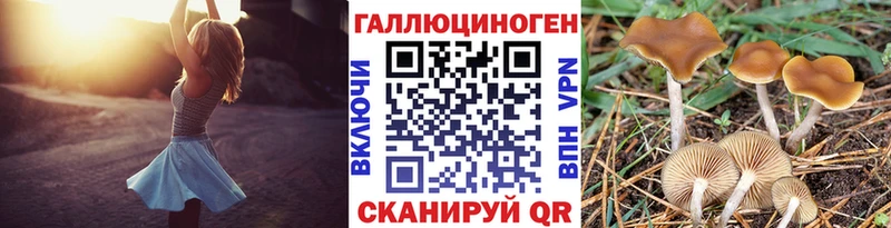 магазин    Лиски  Галлюциногенные грибы Psilocybe 